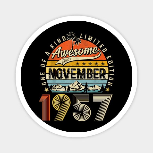 Awesome Since November 1957 Vintage 66th Birthday Magnet by PlumleelaurineArt